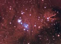 ngc2264